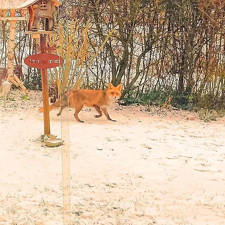 Hébergement de vacances Diemelsee-sudeck Diemelsee
