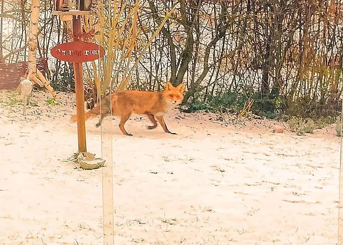 Prázdninový dům Diemelsee-sudeck Diemelsee
